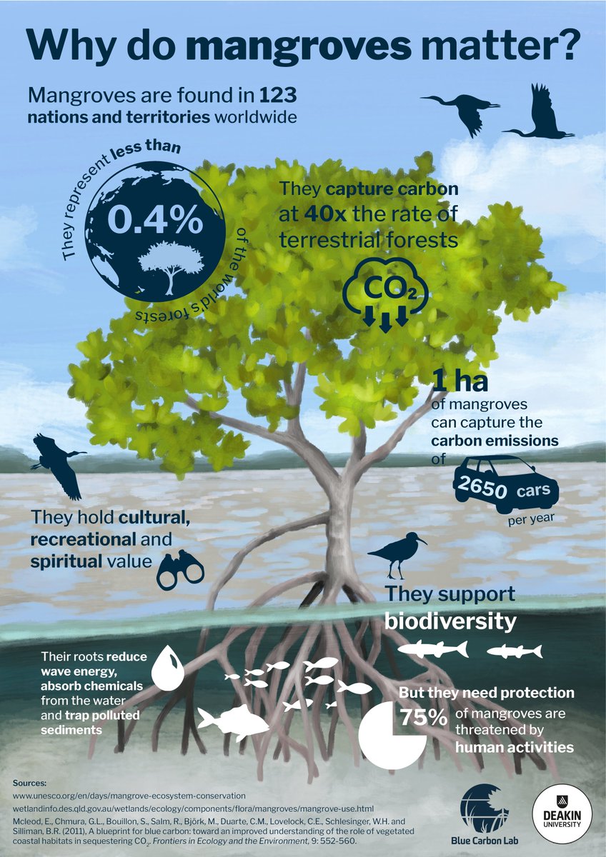 #WorldMangroveDay is a chance to raise awareness about the biodiversity, carbon, cultural, recreational, & financial benefits of conserving and restoring these rare but vital systems. Thankyou to the communities and organisations worldwide that are rising to the challenge.