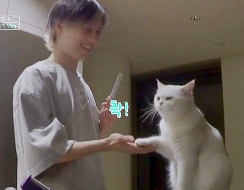 taeminluvr7's tweet image. 