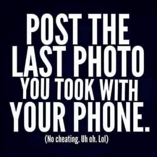 SteelCityTeacher tweet media