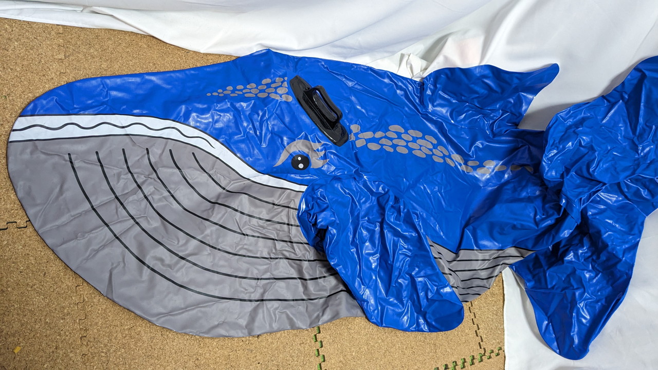 Floatie Popper - once (@FloatiePopper) / X