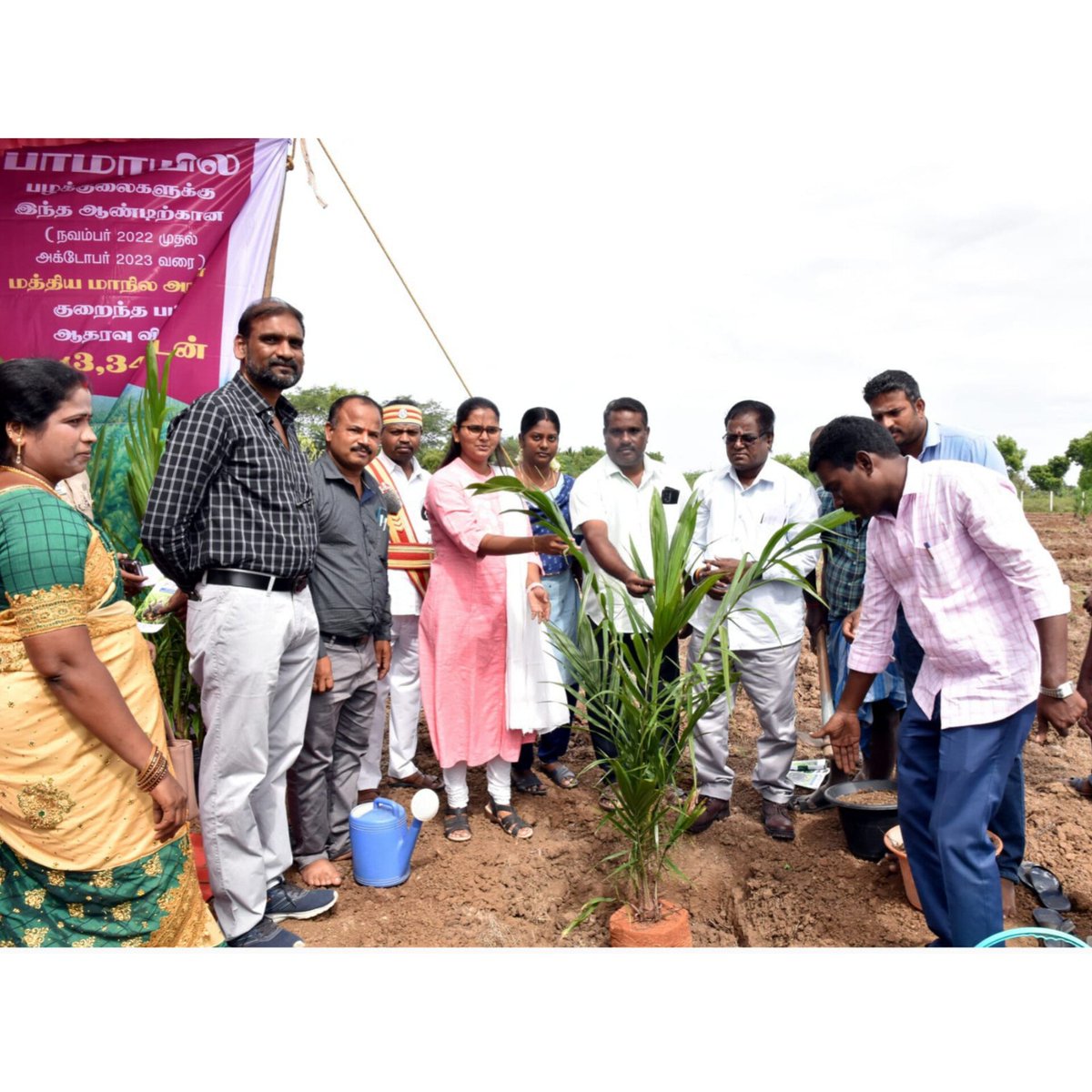 திருவாரூர் மாவட்டம், வலங்கைமான் ஒன்றியம், ஆவூர் ஊராட்சியில் தோட்டக்கலைத்துறையின் மூலம் தேசிய சமையல் எண்ணெய் இயக்கம், எண்ணெய் பனை திட்டத்தின் கீழ் நடத்தப்படும் மாபெரும் பனை செடி நடவு விழாவில், எண்ணெய் பனை செடியினை நட்டு தொடங்கி வைத்த நிகழ்வு  #collectorthiruvarur