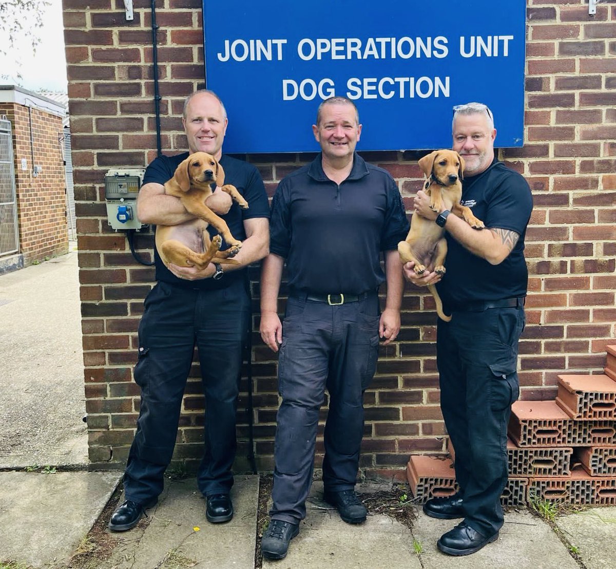 Hants & TVP Police Dog Section 🐾 tweet media