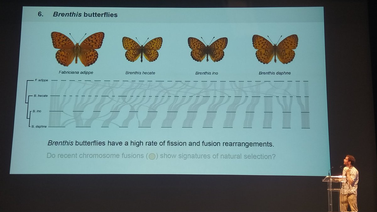 CristianaMarques tweet media
