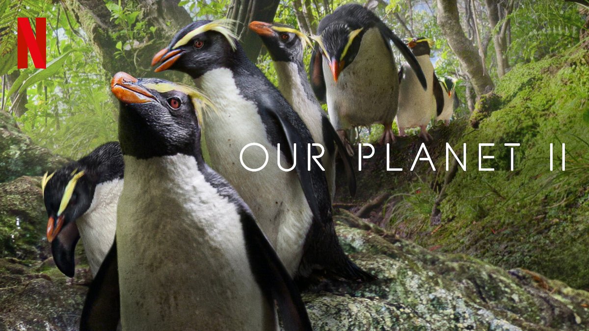 filmsat59's tweet photo. Our Planet II  an all new 4-part Netflix series from #SilverbackFilms – narrated by Sir David Attenborough with #PostProduction from @filmsat59 Watch all episodes on Netflix  now. #ourplanetII https://t.co/lA5o3oH3UA #davidattenborough https://t.co/ToG9fIwG9B