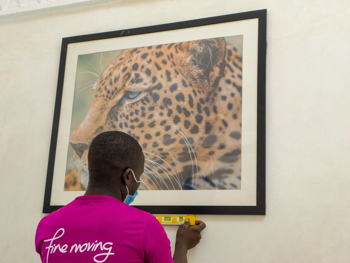 NellionsUGANDA's tweet image. Masterpiece Mounted! Straightness Specialist at Work! 🕵️‍♂️ Checking the Artistic Equilibrium.  Picture-Perfect Perfection Achieved! 

#fullservicemove #professionalmoving