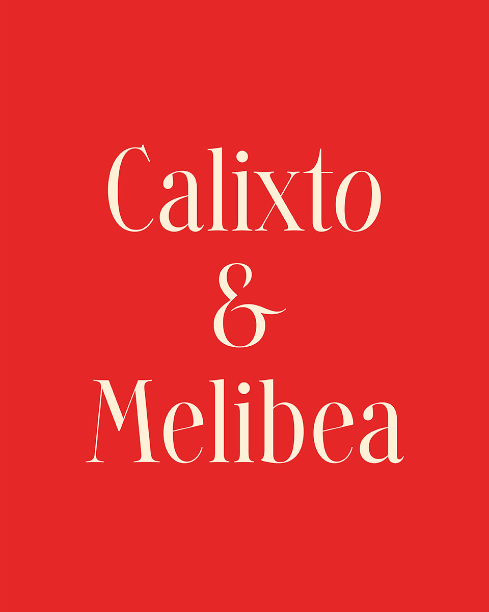 AshlerDesign's tweet image. Bienvenida Salmantina de nuestra foundry hermana @typerepublic Preciosa revisión de un estilo clásico, elegante pero no riguroso &amp;lt;3 .