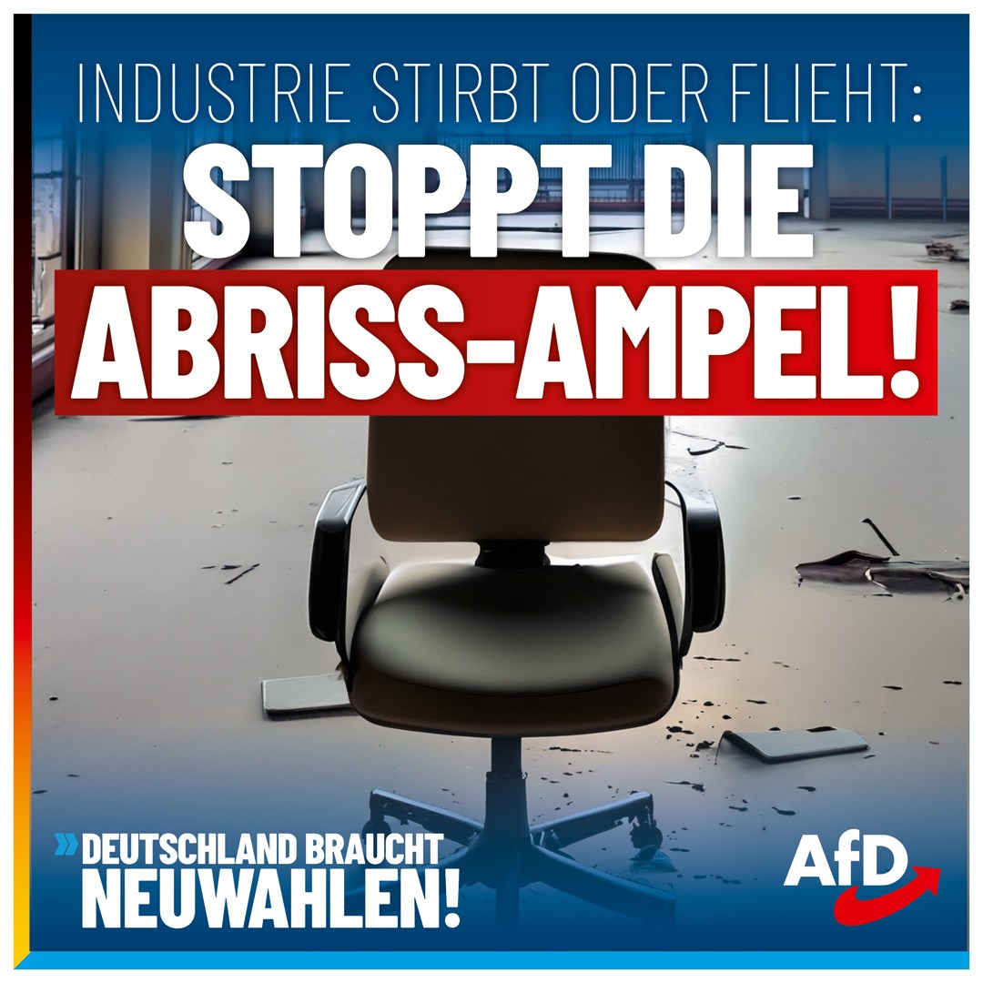 AfD tweet media