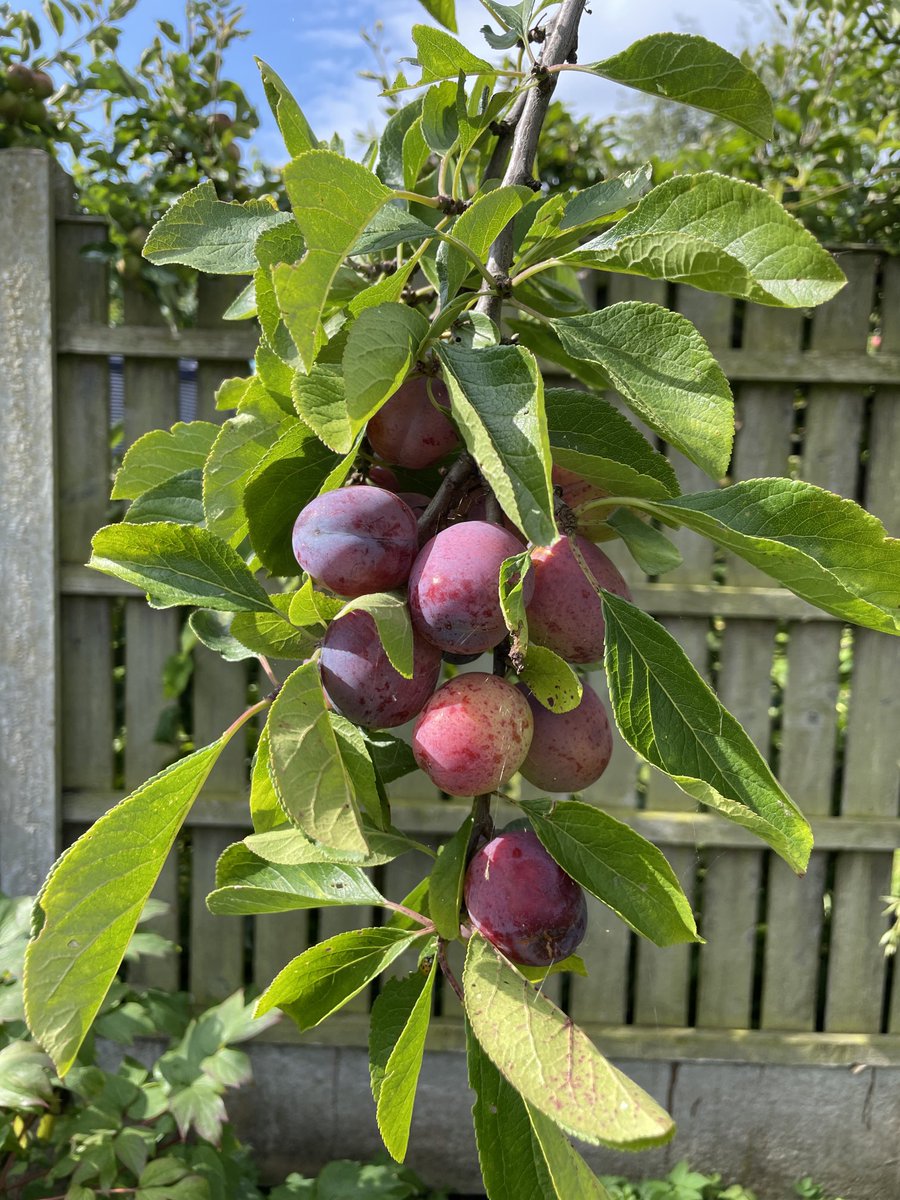 Brian Crosby tweet media