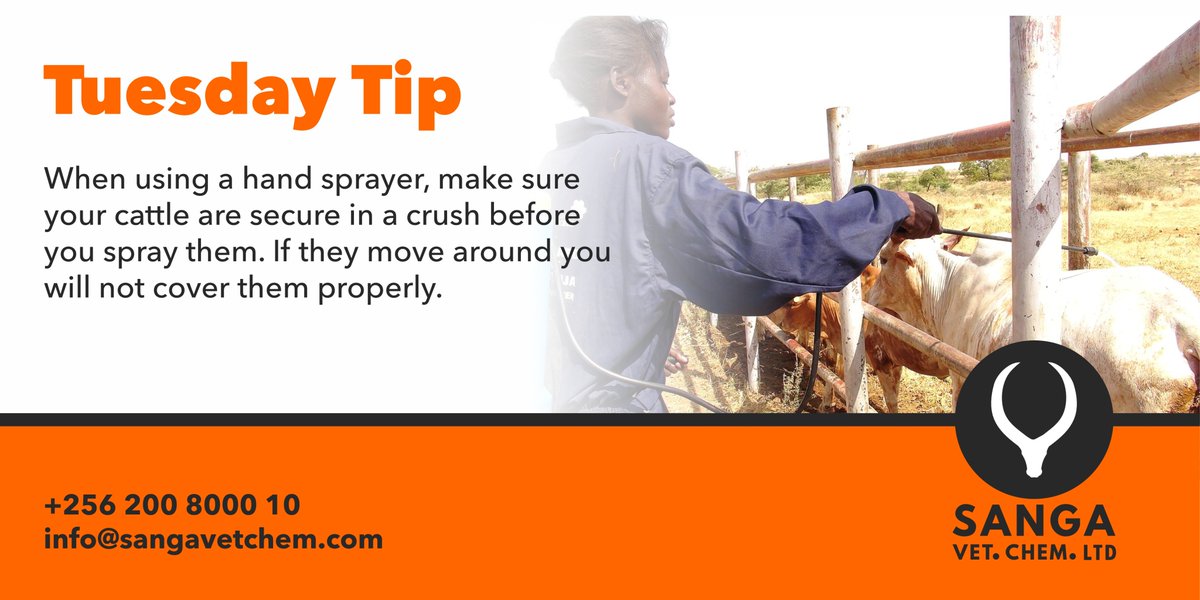 When using a hand sprayer, make sure your cattle are secure in a crush before you spray them. If they move around you will not cover them properly.

#SANGA #TickPrevention #HerdHealth