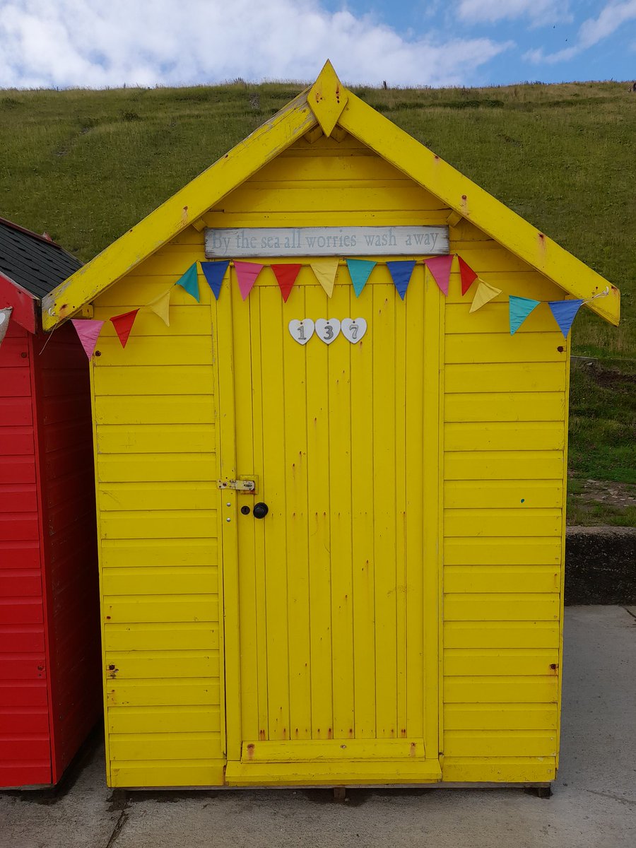 Dr Marc Turu Porcel /mark/ tweet media