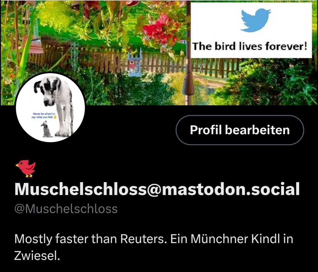 Muschelschloss's tweet photo. Done! 🐦 "Twitter bird lives forever" ♥️
#TwitterLogo #TwitterProtest #LarryTheBird #Larry https://t.co/jY7gk3P2Rg