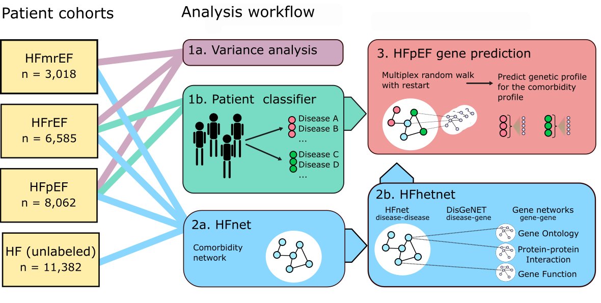 LevinsonLab (@levinsonlab) on Twitter photo Comorbidities are expected to be influential factors to the #HFpEF syndrome, we analyzed the comorbidity profiles of a total of 29k HF patients visiting <a href="/uniklinik_hd/">Universitätsklinikum Heidelberg</a> using network based methods. Now out in <a href="/BMCMedicine/">BMC Medicine</a> rb.gy/9vhm2 Comorbidities are expected to be influential factors to the #HFpEF syndrome, we analyzed the comorbidity profiles of a total of 29k HF patients visiting <a href="/uniklinik_hd/">Universitätsklinikum Heidelberg</a> using network based methods. Now out in <a href="/BMCMedicine/">BMC Medicine</a> rb.gy/9vhm2