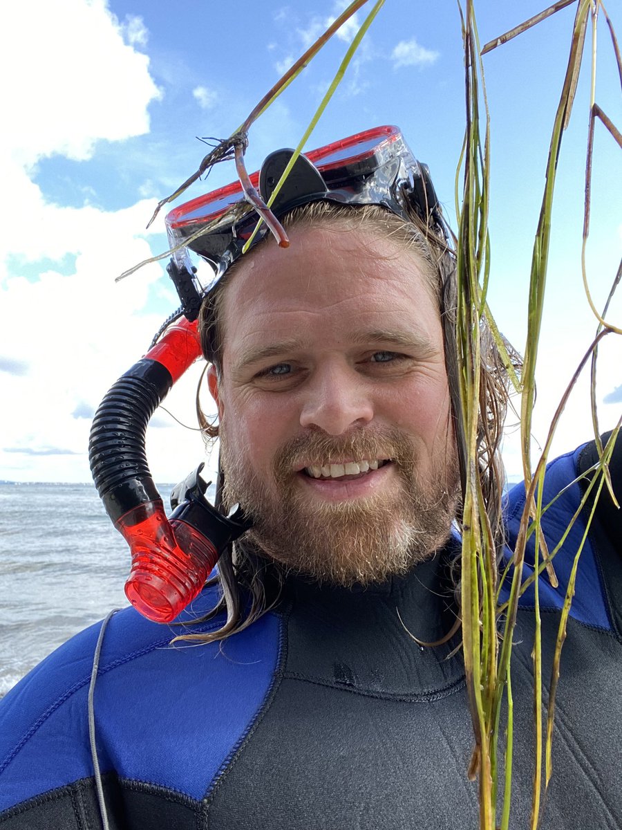 Kasper E Brodersen (@ke_brodersen) on Twitter photo Sampling seagrass seeds at my favorite seagrass meadow today ❤️
Want to know more about seagrass seeds photobiology? Link to recent New Phytologist paper: nph.onlinelibrary.wiley.com/doi/10.1111/np…
Green Seas Lab (<a href="/seas_green/">Green Seas Lab</a>) at Roskilde University (<a href="/roskildeuni/">RUC</a>)
#seagrass #seeds #photosynthesis Sampling seagrass seeds at my favorite seagrass meadow today ❤️
Want to know more about seagrass seeds photobiology? Link to recent New Phytologist paper: nph.onlinelibrary.wiley.com/doi/10.1111/np…
Green Seas Lab (<a href="/seas_green/">Green Seas Lab</a>) at Roskilde University (<a href="/roskildeuni/">RUC</a>)
#seagrass #seeds #photosynthesis