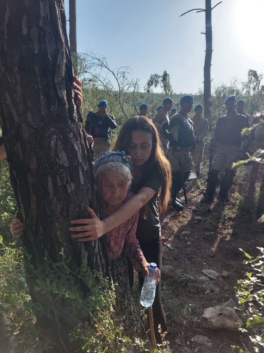 kuzeyormanlari's tweet photo. Zehra Nenemiz 88 yaşında ormanı ve yuvasını savunmak için kardeş saydığı ağaçlara sarılıyor. Biz de ona sarılalım
#AkbeleneDokunma https://t.co/H2Vq9uvuXN