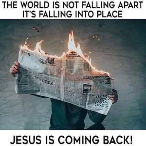 Kelley White tweet media