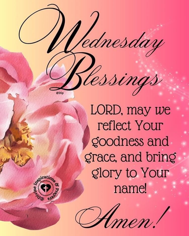 Kelley White tweet media