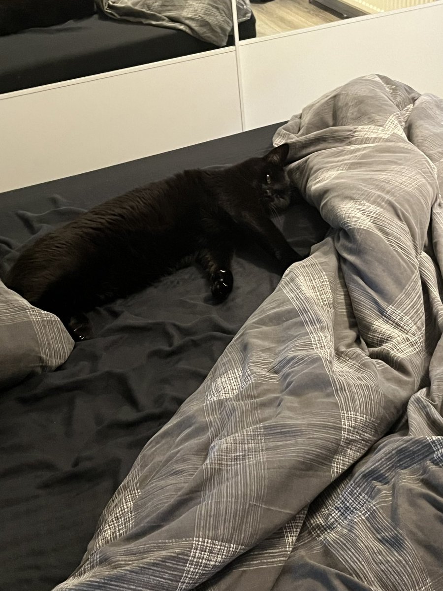 Lisa Duff tweet media