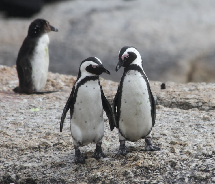 Best Bloggers 4 U tweet media