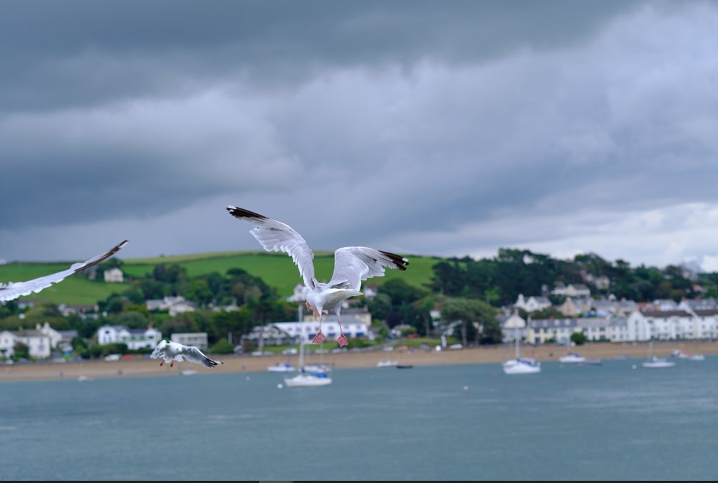 Nothing beats  waking up, opening the curtains and seeing the breath taking views of the river Torridge first thing in morning. Book today to experience it for yourselves.💕  #SeaView #CoastalLocation #NorthDevonCoast #NorthDevon #VillageLife #YoungsRooms #SummerAtYoungs