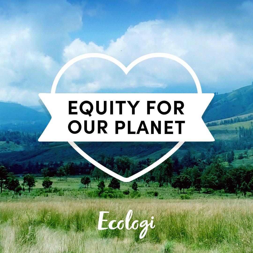Ecologi_hq's tweet image. Our crowdfunding campaign is now LIVE! 🎉

This is your chance to own part of Ecologi and our future growth. 🚀

Invest now 👉 bit.ly/43tswOo

Capital at risk.

#CrowdFunding #CrowdCube #ClimateAction #Sustainability #Invest #ForOurPlanet