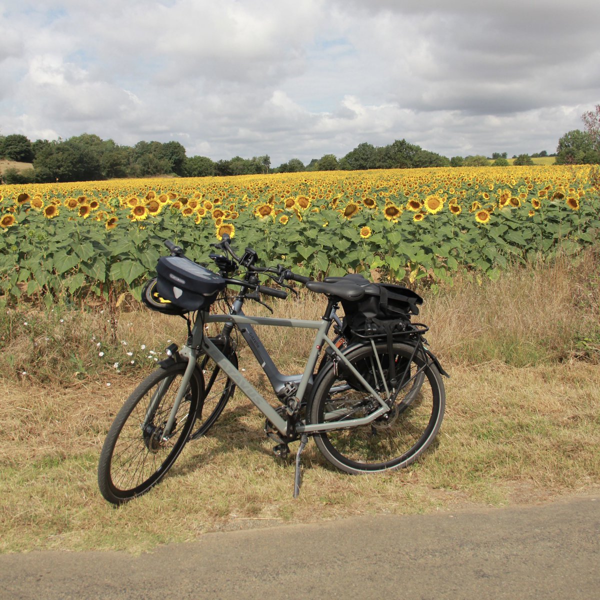 France23 #picdujour #picoftheday, jour 4: ‘Tour de France’ @ Benassay, Boivre-la-Vallée