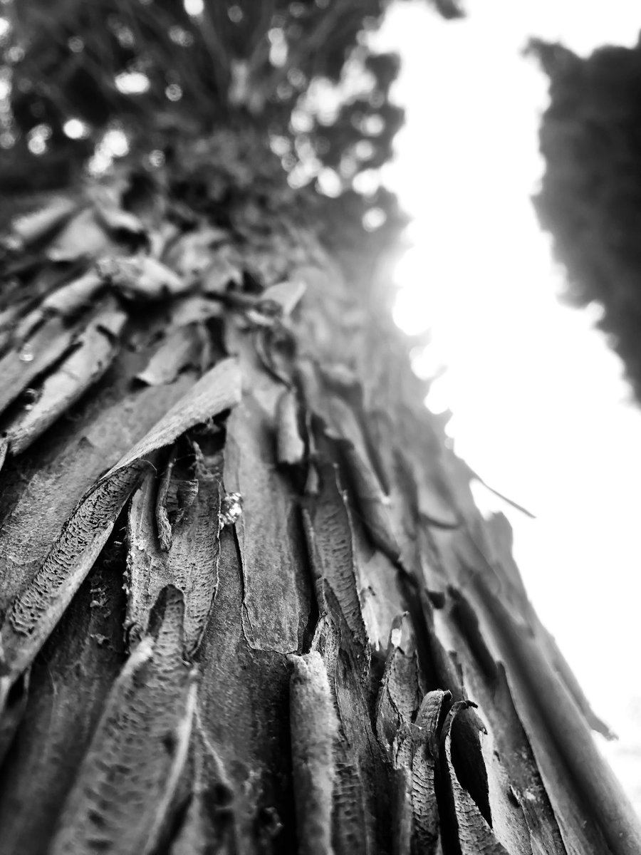 Najii488's tweet photo. Texture 01

available on @objktcom

I hope you like it!😊

5 edition | 3 $XTZ
#tezosart #tezoscommunity #b&amp;W 
🔗👇🏼

https://t.co/Zb1KKaOQbZ https://t.co/9yxfFFGF2U