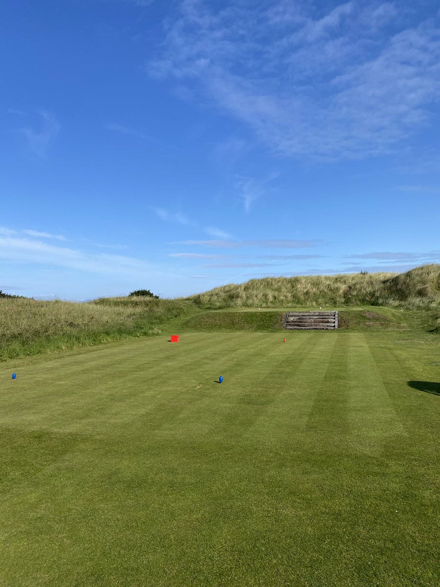 Max Campbell tweet media