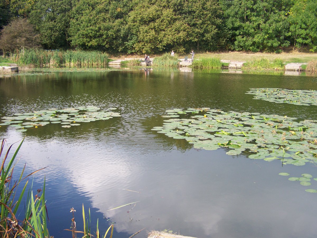 Stoke-on-Trent CC tweet media