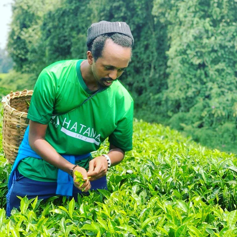mucyowicyogere's tweet photo. Icyatsi cyambawe
Icyatsi gisoromwa
Icyatsi ni ibara!
#hatana
#Kinyarwanda
Nk' #intore https://t.co/F1vXGfLBPO