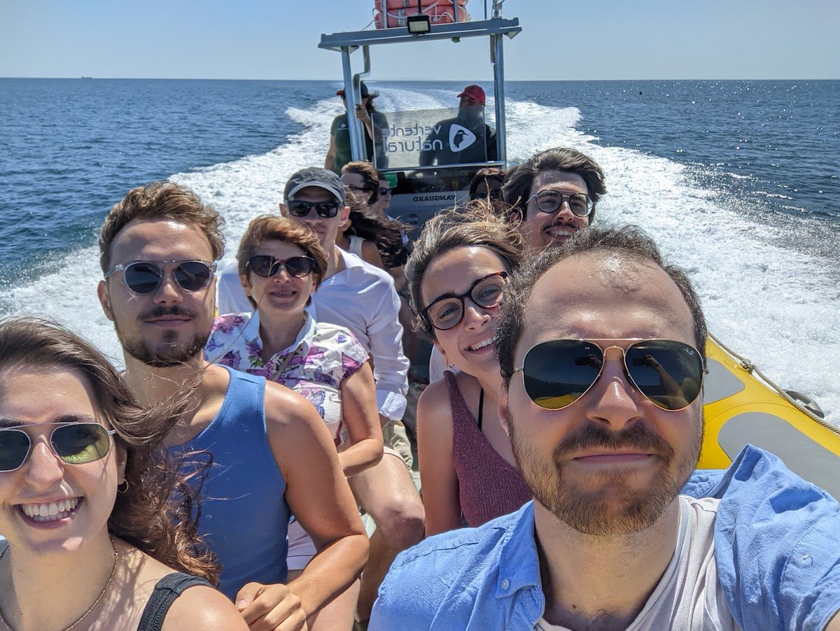 Fourtold tweet media