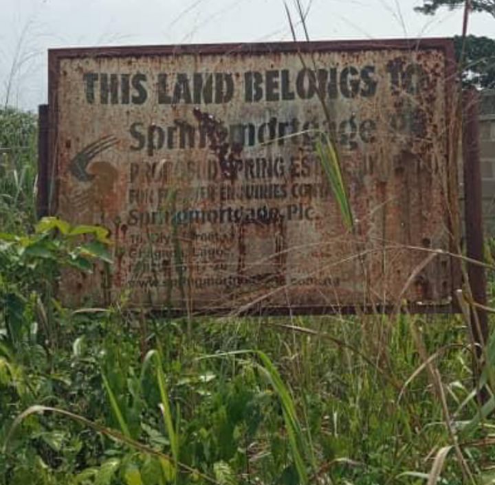 DeBash_Property's tweet image. Investors delight !!!
For sale:-2 acres of land situated @ Spring estate,odo-nla,via Tinubu estate, ikorodu,Lagos state
Features include:
Accessible roads
Close to developed estates
Strictly residential
No additional payment after buying
Title:-Global C of O
72 million naira