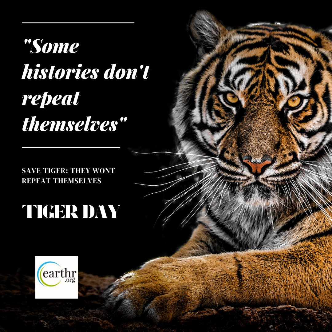 🐯 Roaring in admiration on #TigerDay! Let's celebrate these majestic creatures and raise awareness for their conservation. Together, we can protect and preserve their wild habitat! 🌳🐾 #TIGER #conservation #forest #Jungle #Sustainability #SustainableDevelopment