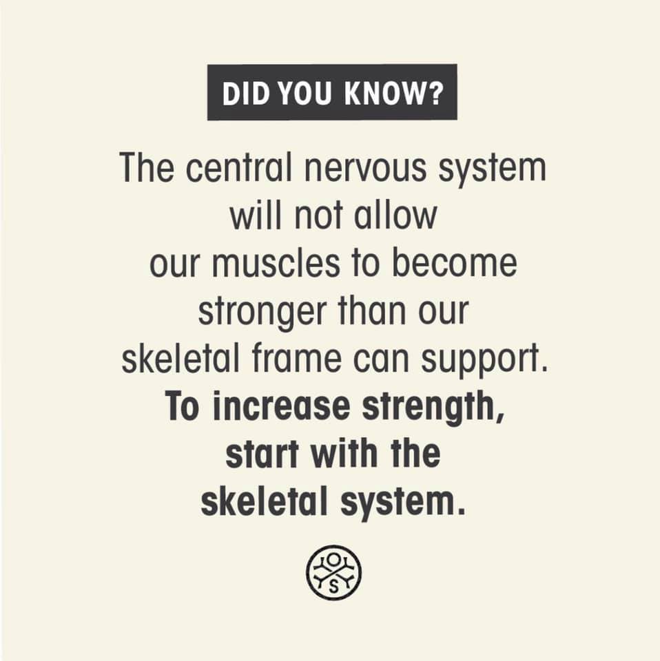 OsteoStrongSTC's tweet image. Here is a fun fact for our morning!!

Your body with stop your muscles from getting stronger, if your bones will not support it. Get your bones AND muscles stronger with OsteoStrong!!

Call us today for a free session!!

#osteostrong #strongbones #strongmuscles #healthyliving