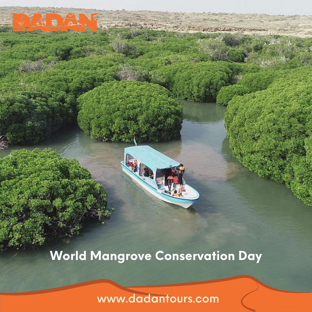 Mangroves contribute to combating climate change. They are very efficient at capturing and storing carbon dioxide from the atmosphere. Let's work together to protect them.

#WorldMangroveConservationDay #Toursim #Dubai #AbuDhabi #Qatar #Saudi #Oman #Kuwait #Bahrain #DadanTours https://t.co/GrmtAtYDMa