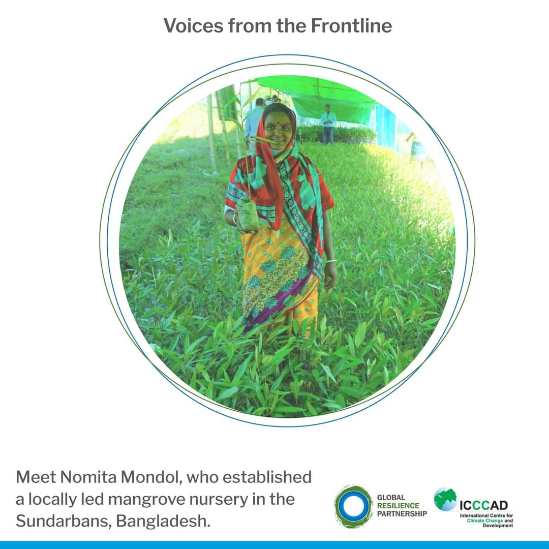 Happy #WorldMangroveDay! #Sundarbans, 🇧🇩: Locally-led #mangrove nursery brings ecological and economic benefits in a changing climate. 

I have covered Nomita Mondol's story,  She established a mangrove nursery to deal with the impacts of #climatechange. 
icccad.net/voices-from-fr…
