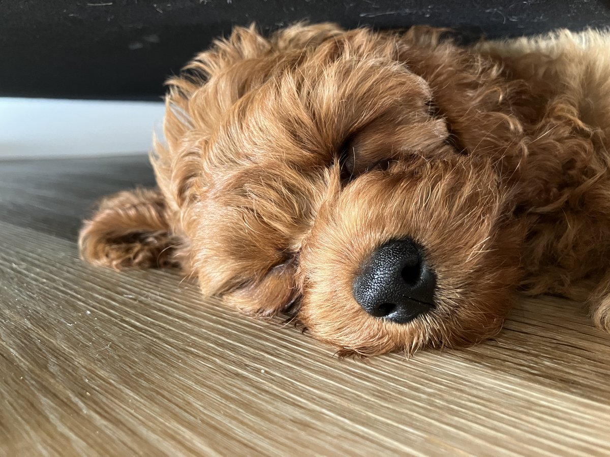 Good morning. Today is my first full day at home. So I am resting.