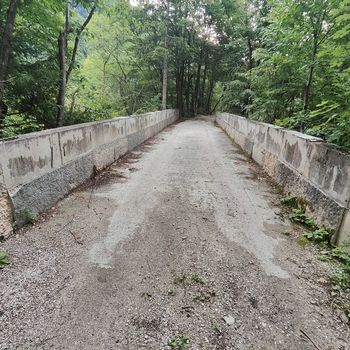 galloforcello2's tweet image. Ecco a voi il ponte denominato "della vergogna" #igne #longarone.  #belluno (appena terminato tantissimi anni fa, sparirono misteriosamente le lastre in pietra di rivestimento, sia interne che esterne! Da qui  la denominazione.