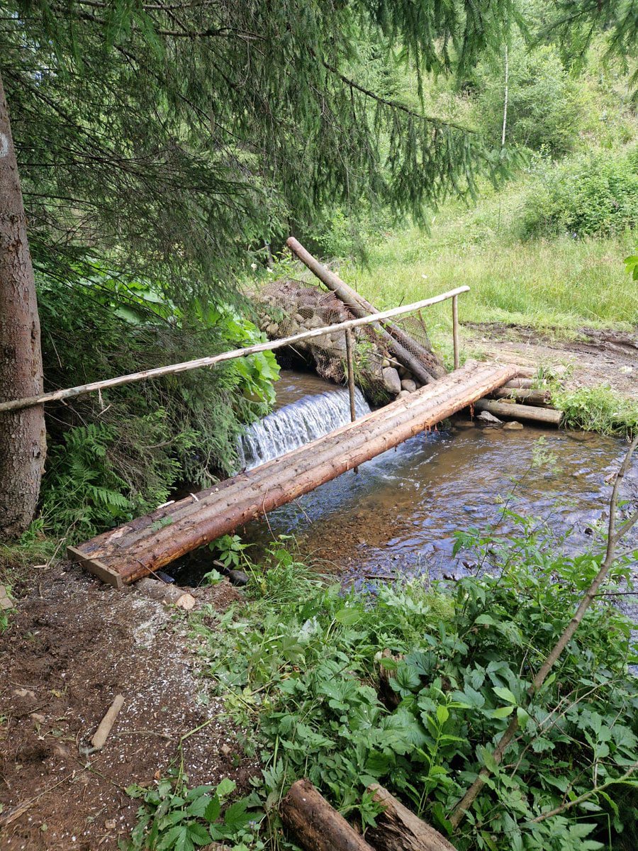 RNP_Romsilva's tweet photo. Rangeri de la administrația Parcului Național Călimani au efectuat lucrări de reparații  la podețul de pe Poteca tematică 12 Apostoli.

📷 Rangers of Calimani National Park at work on 12 Apostoles theme trail.
#parcurinationale #Romsilva #calimani #trasee #munte #ranger #Romania https://t.co/M7KB83X34P
