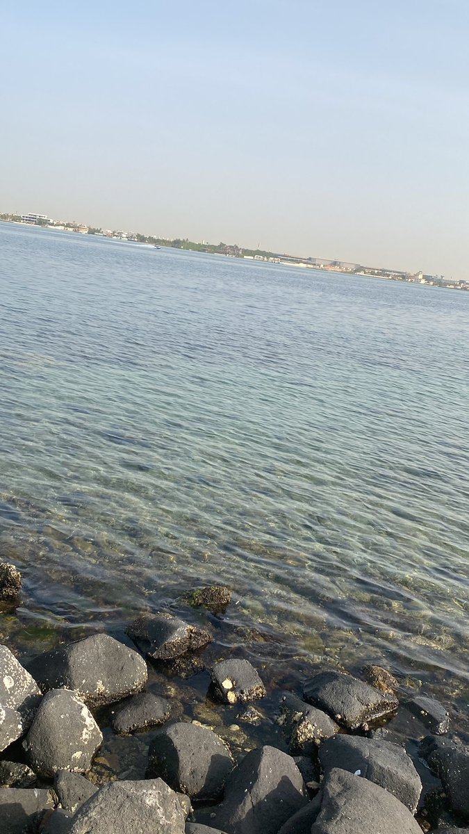 Yah198's tweet photo. @adelhand282 صباح السكر والكلام الجميل 😘 https://t.co/KD9P7B8ABy
