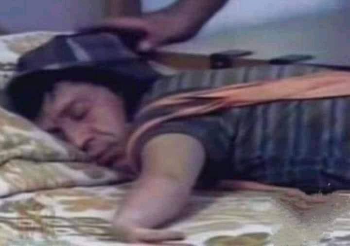 "disfruta tu juventud"

Yo después de fumarme un toque: