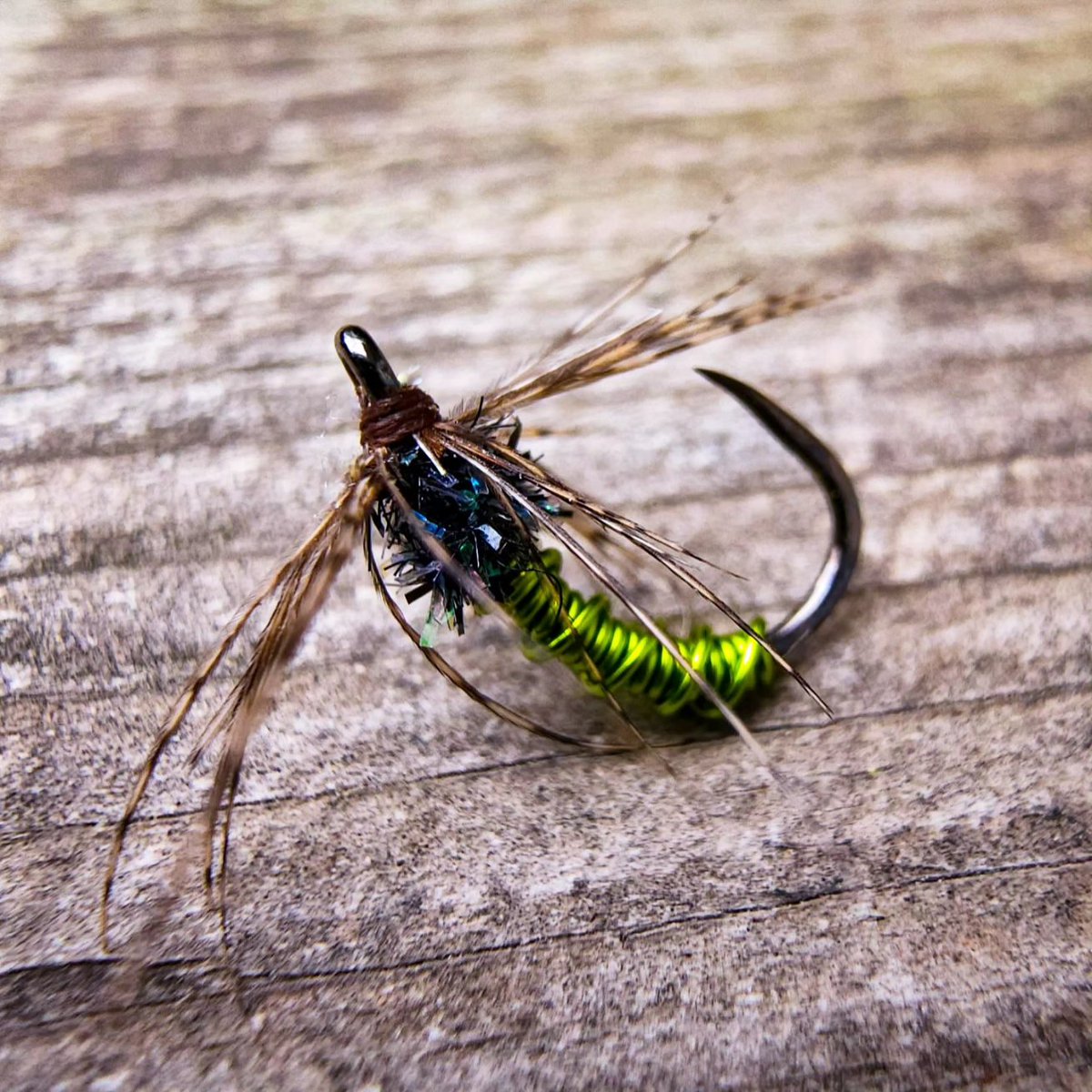 debpaskall's tweet photo. Caddis softie 
Semperfli wire, .1mm Pearl Chenille (black) and Hungarian Partridge. 
#flytying #flyfishing #caddisfly #softhackle #semperfli @semperfli https://t.co/EC6vegg70r