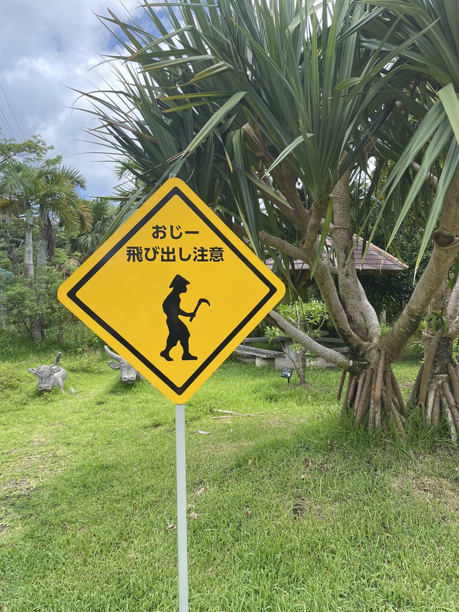 カヲリ →✈️next MMY KMI HKG ISG DAD KHH (@_hakone_gakuen