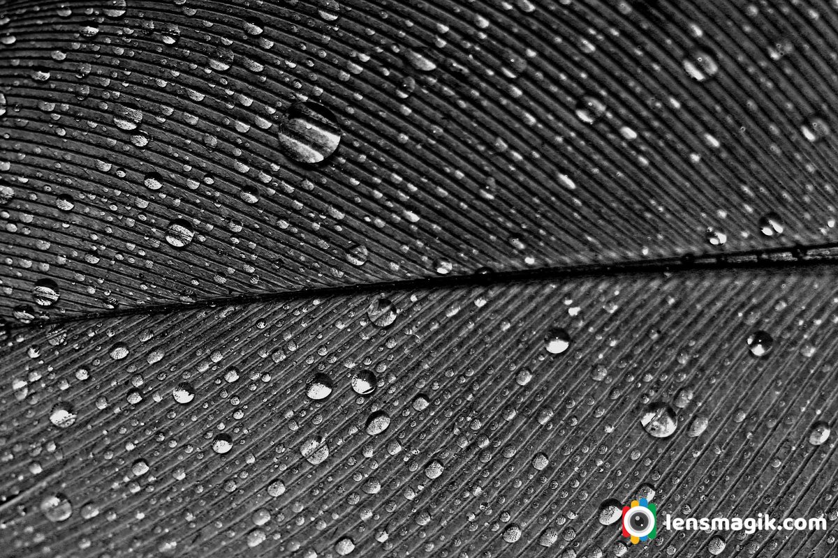 np_photographer's tweet image. Abstract Photography bit.ly/strawabstract Abstract Macro #abstract #abstractphotography #abstractmacro #abstractphotographyathome #macrophotography #bubbles