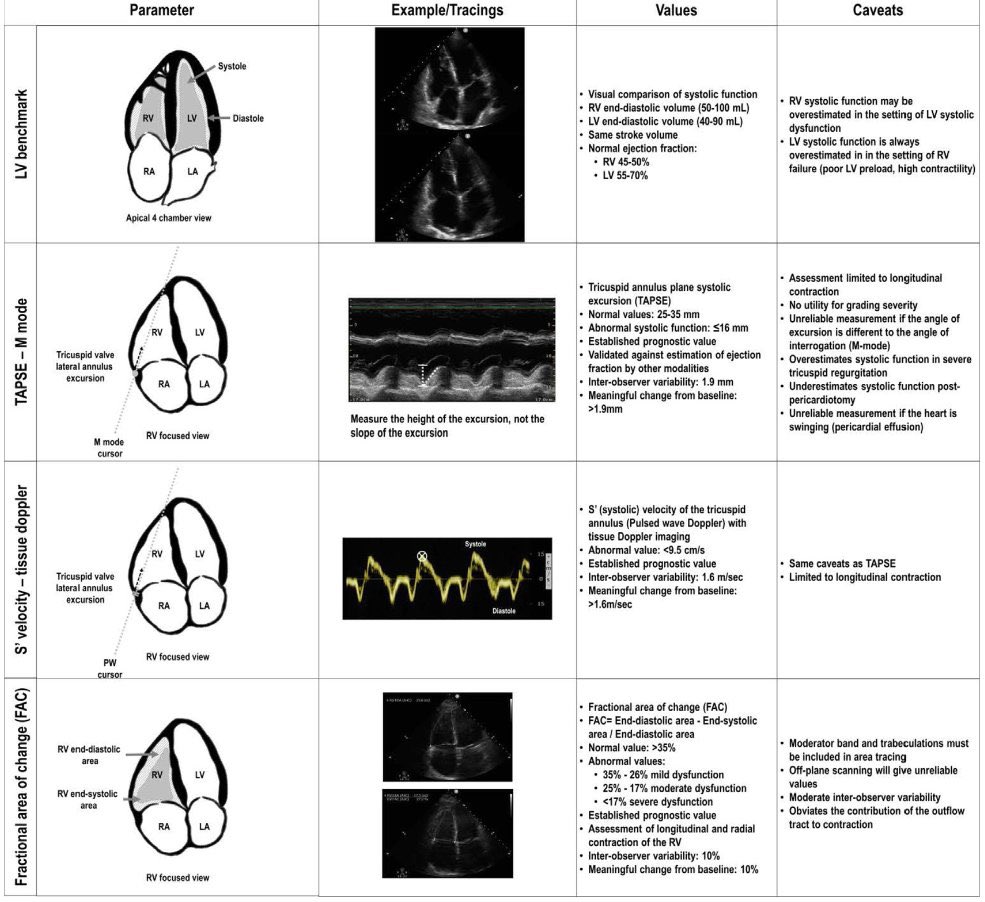 #POCUS assessment of RV function: pearls and pitfalls
#MedEd #echofirst #FOAMcc
🔗 pubmed.ncbi.nlm.nih.gov/36116812/