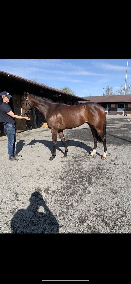 Hugo Mc Dermott tweet media