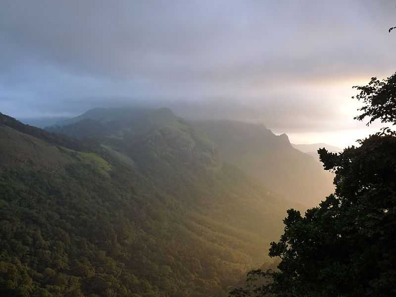 Nelliyampathy, often known as 'poor man's Ooty' is a favourite among travellers for its evergreen forests. 

For details : rareroutes.in

#nelliyampathy #nelliyampathyhills #mangroveforests #spicefarms #naturebeauty #godsowncountry #kerala #keralatourism #rareroutes