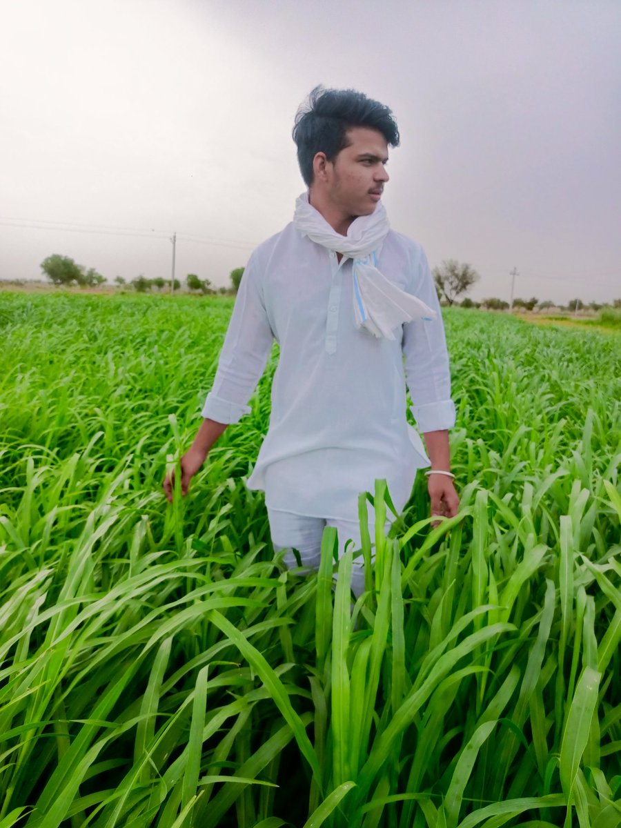 Siyaram Haritwal tweet media