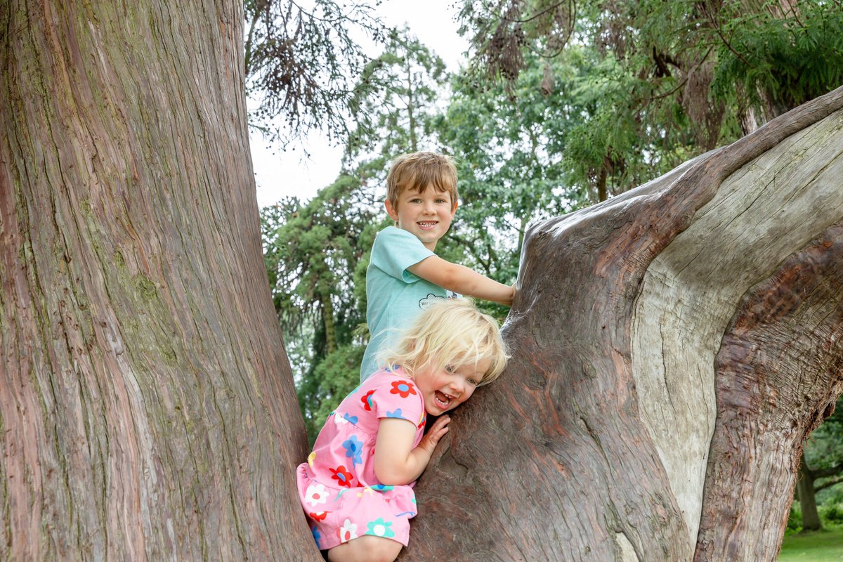 Baxterthepooch tweet media