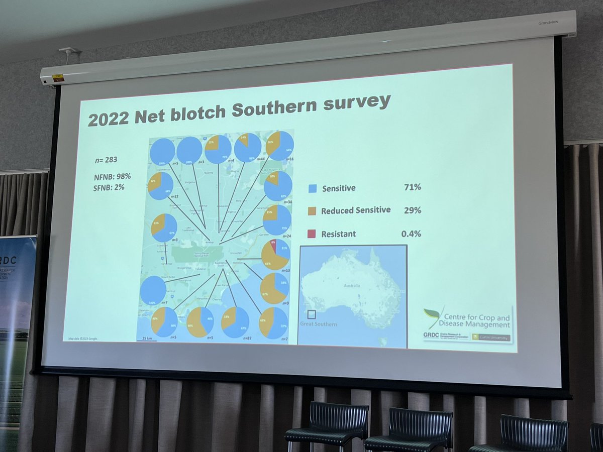 Southern WA barley disease forum <a href="/theCCDM/">CCDM</a> Fran Lopez Ruiz gave a regional snapshot on fungicide resistance in barley for NFNB and SFNB (SDHI resistance). He asked can QoI resistance impact disease control! Is it possible to have SDHI, QoI and DMI resistance at the same time?