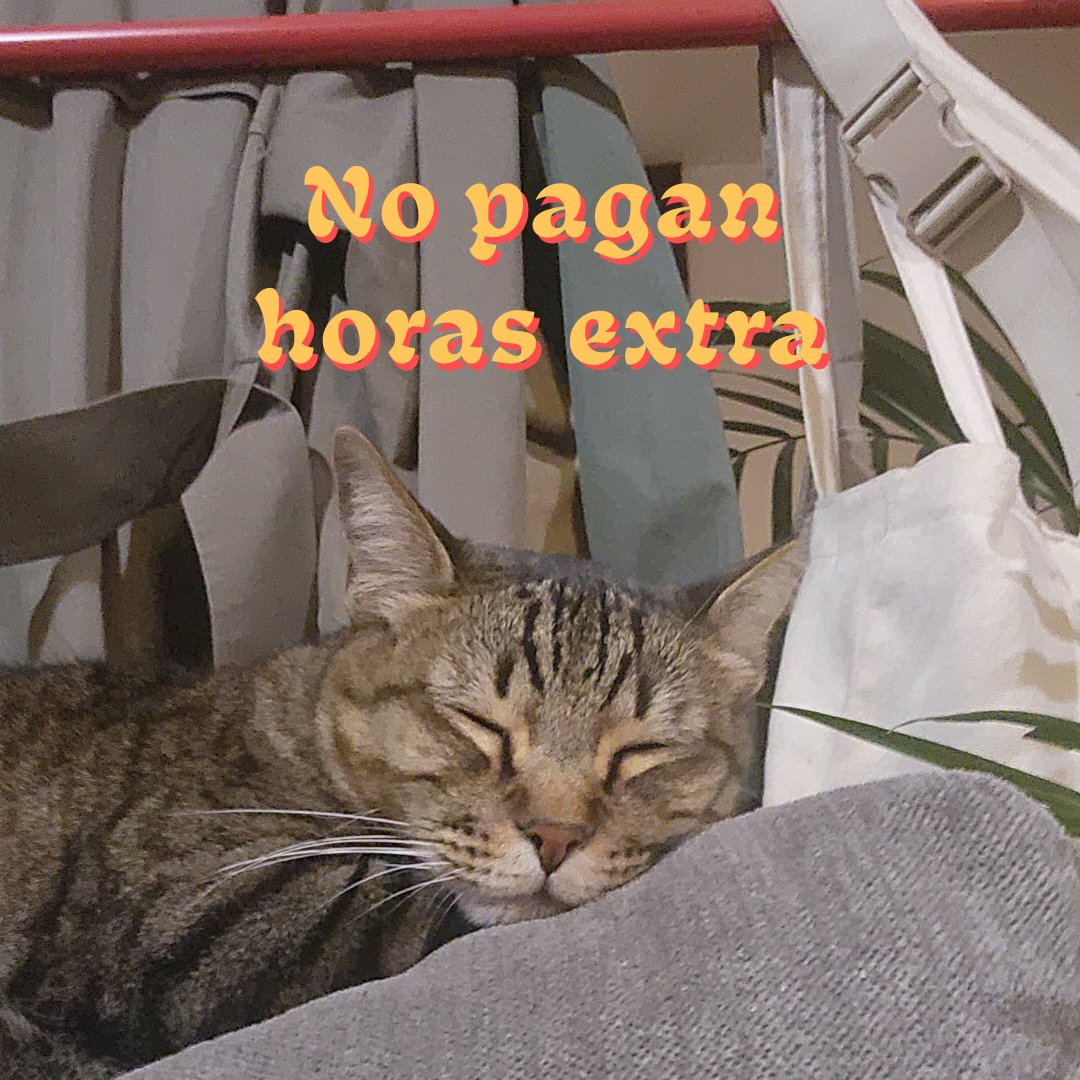 l_arre's tweet photo. https://t.co/181kRjf0a1